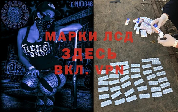 индика Бугульма