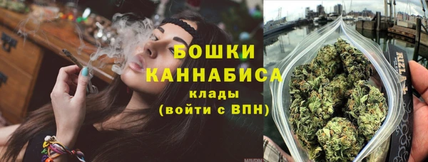 индика Бугульма