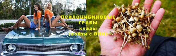 спайс Бородино