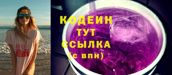 индика Бугульма